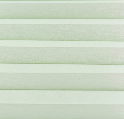 Tay Translucent
