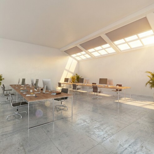 C57T Office